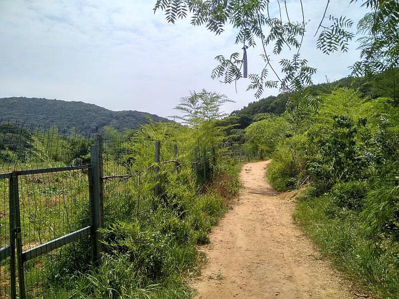91在线看片网站厂家军嶂古道